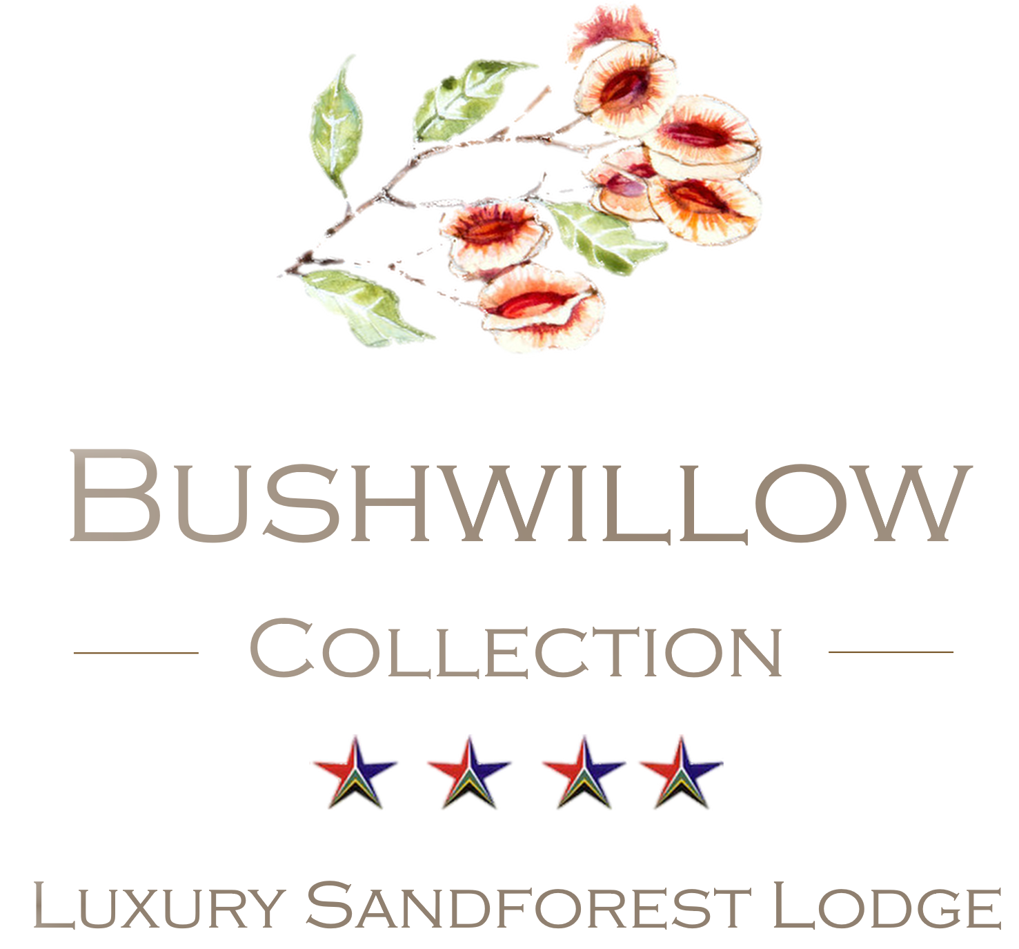 Bushwillow Collection Luxury Sand Forest Lodge